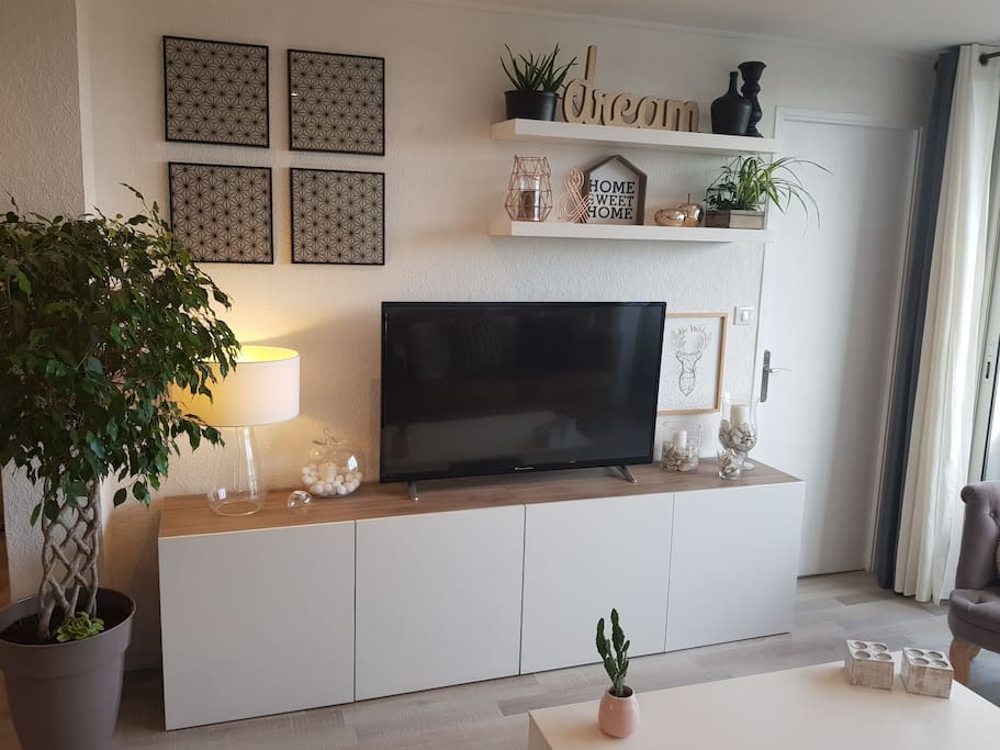 coin tv