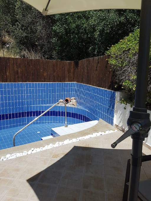 The pool in the garden