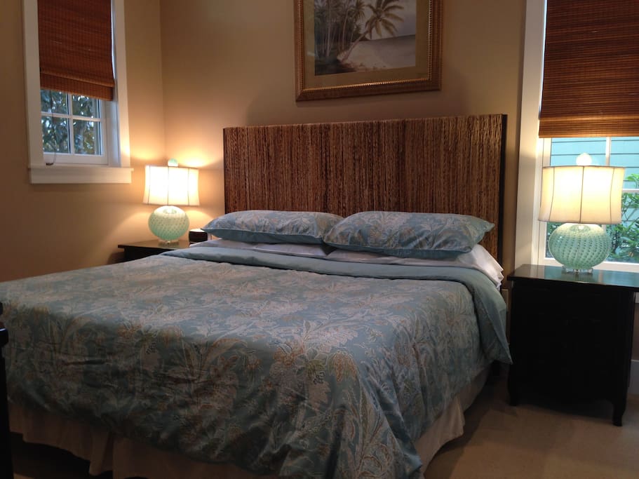 Master bedroom with King Size Bed