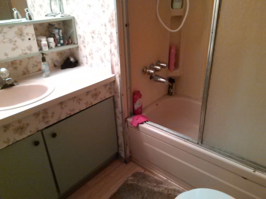 Main Bath Shower/Tub