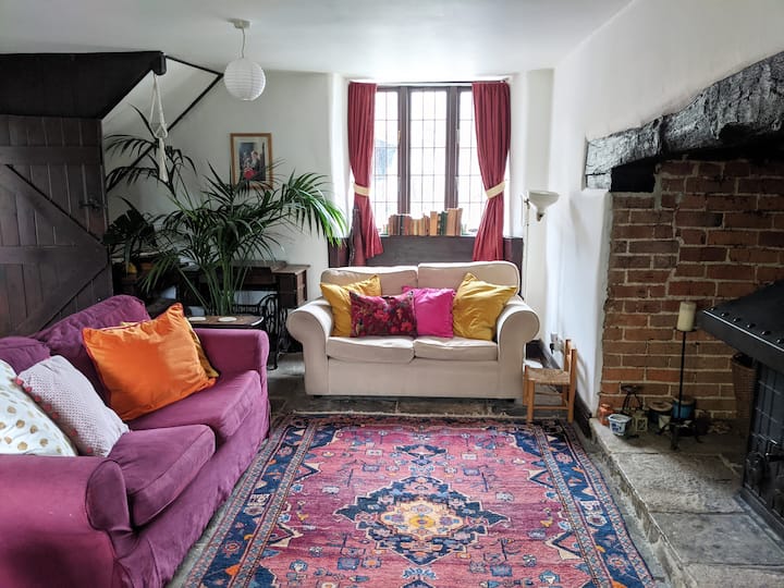 Sitting room with log fire