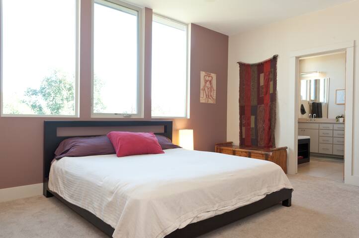 Sweet South Austin Modern Home gallery image 2