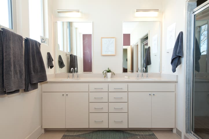 Sweet South Austin Modern Home gallery image 5