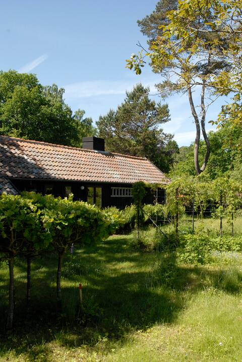 Adventurous house on the edge of Tisvilde Fence