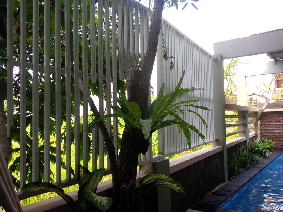 One house for big family holiday