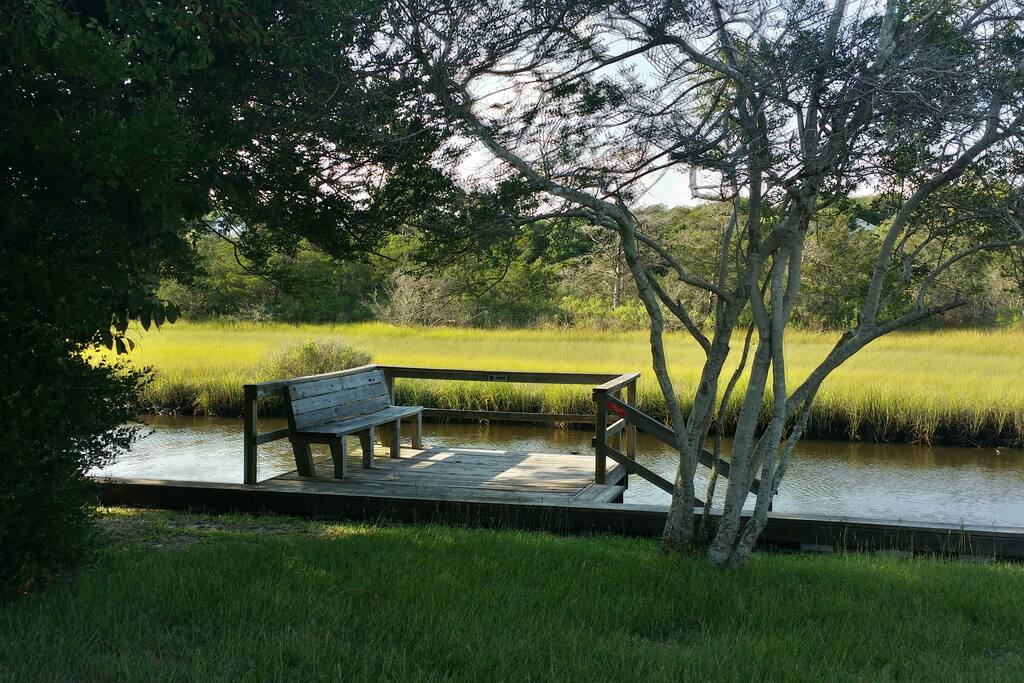 Private dock in backyard