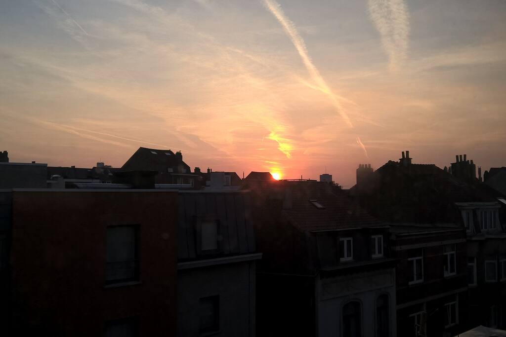 The view