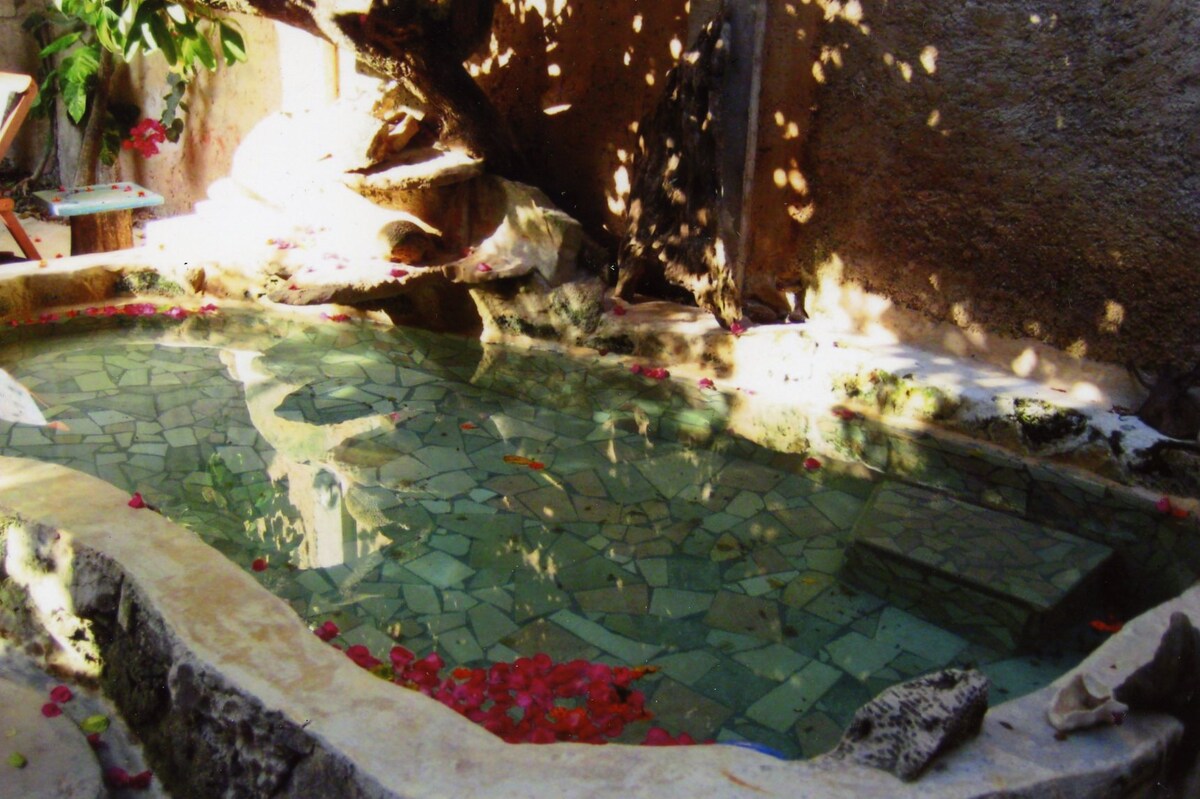 Stone Tree — 5 bedroom vacation rental in Tulum
