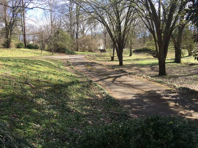 Southern Charm meets Old World Hospitality gallery image 3