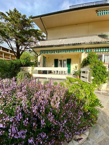 Entire home with 1 bedrooms in Portoferraio - Beach Apartment 1