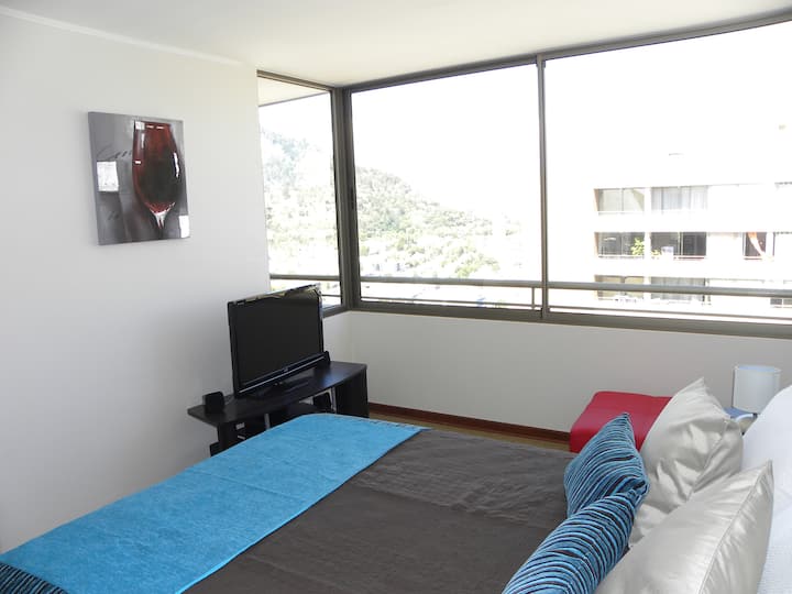 Santiago Mountain View Right By Parque Forestal - 聖地牙哥