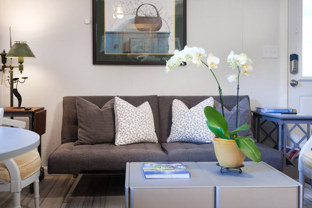 Sofa which folds down into a small bed. Living room.