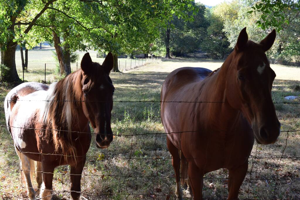 Friendly neighbors