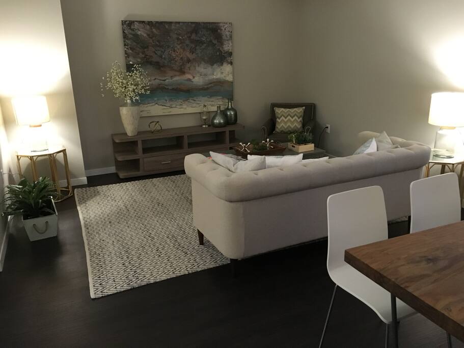 Living Room Area