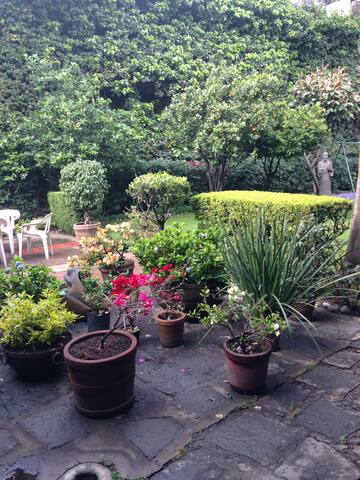 Beautiful House in Chimalistac/Amazing Garden gallery image 4