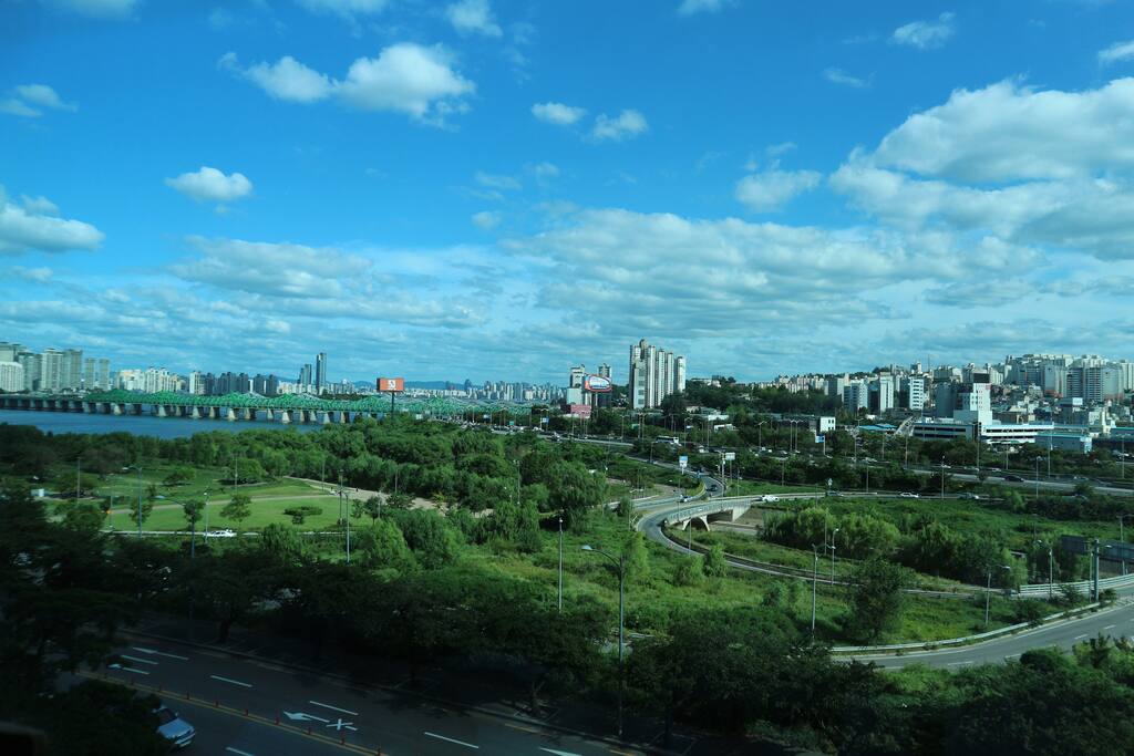 Real View