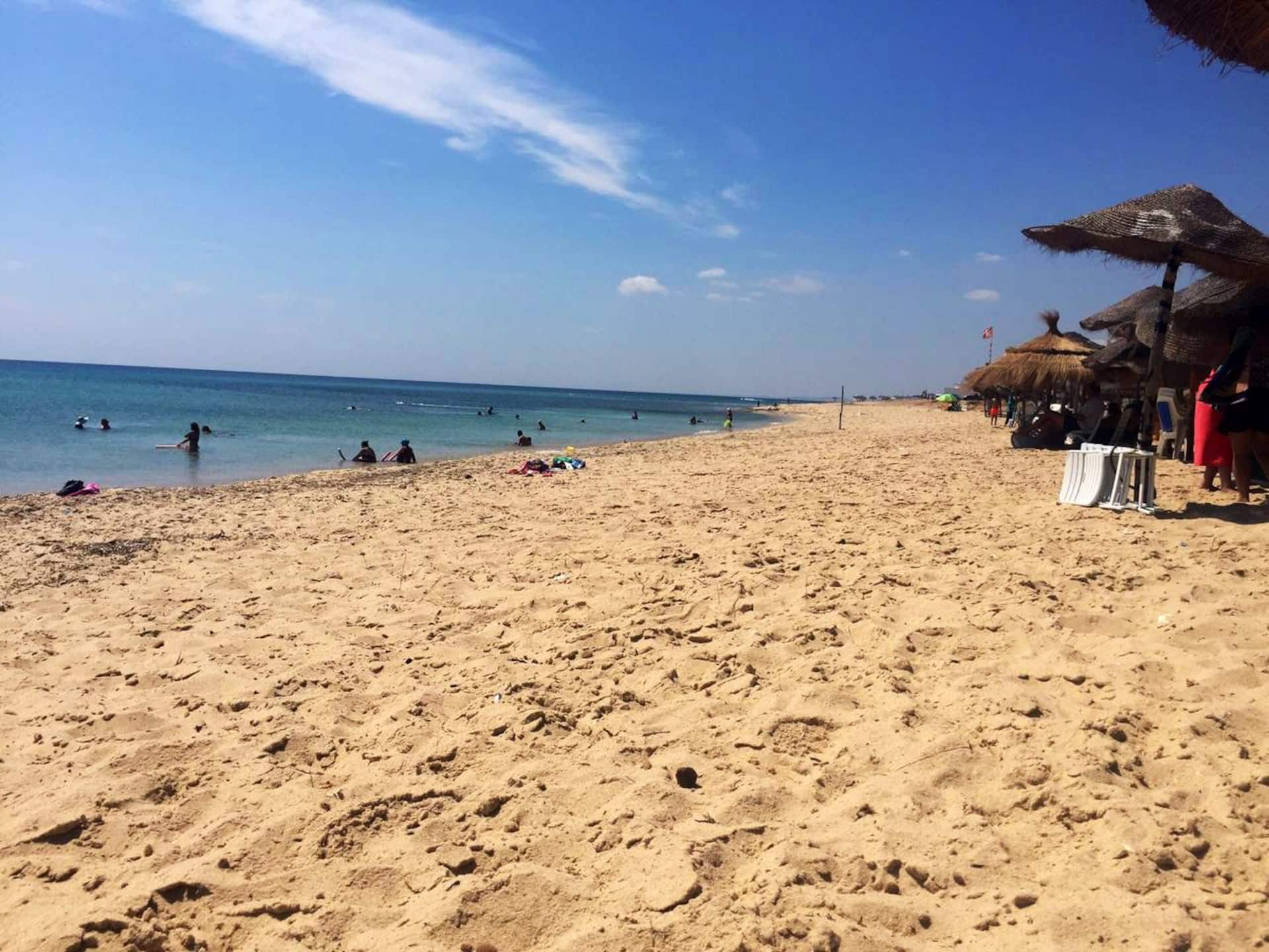 Appart cosy by the sea in Hammamet