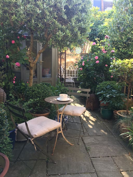 The garden in Spring