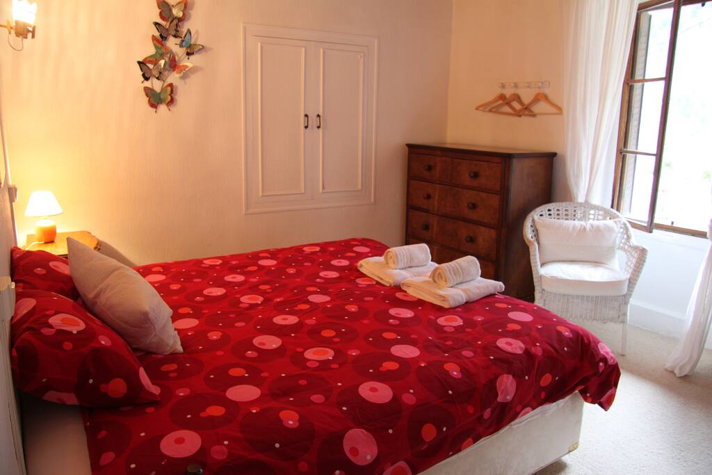 `Double or twin room Terrine