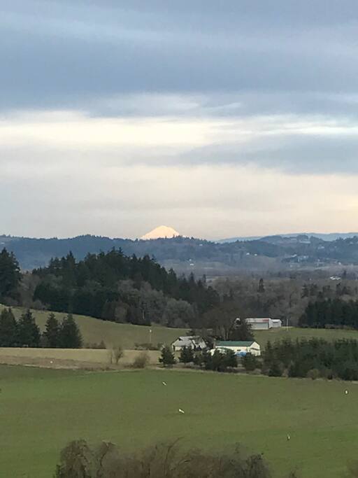 Views from top of the hill.