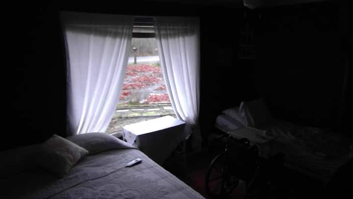 Shelton Farm Recovery Room