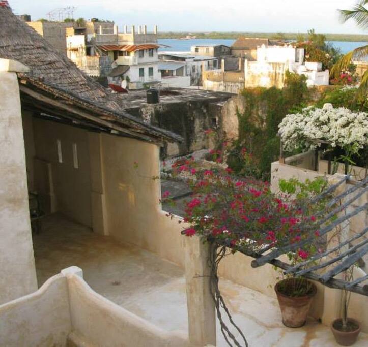 The terrace from the roof