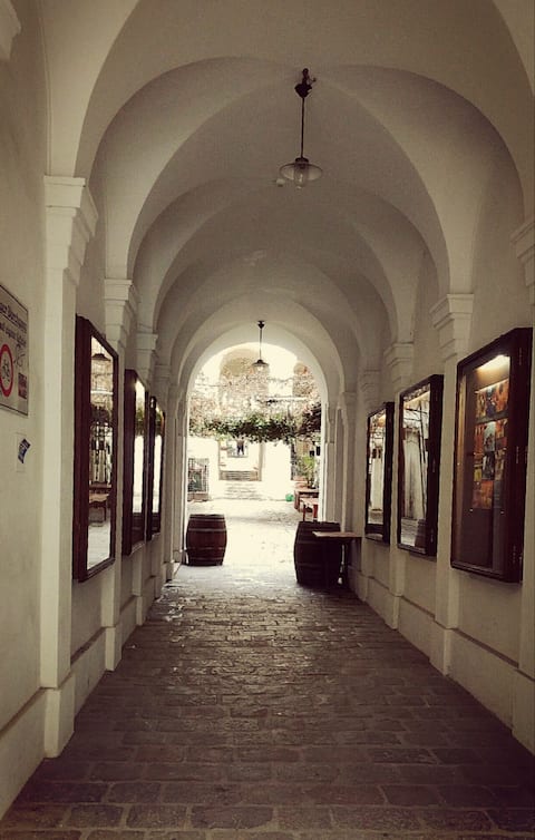 City Center Apartment Vienna