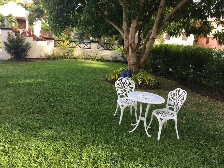 Under the mango tree
