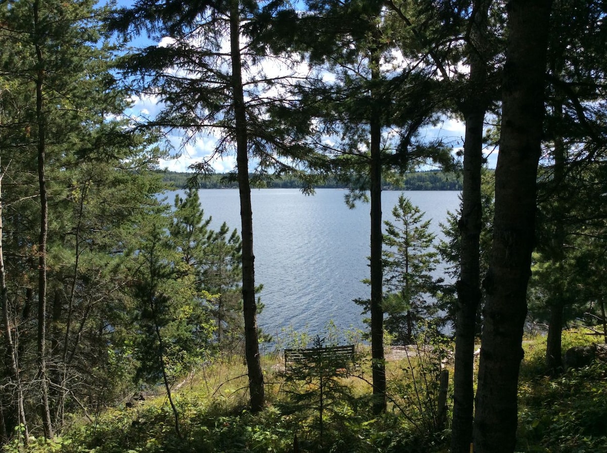 Tall trees frame a serene view of Pistol Lake, reflecting the blue sky and scattered clouds. The golden shoreline, visible through the greenery, is bordered by lush vegetation, promoting a sense of tranquility and seclusion in nature.