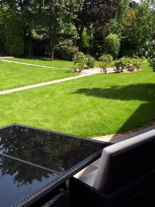 Garden view