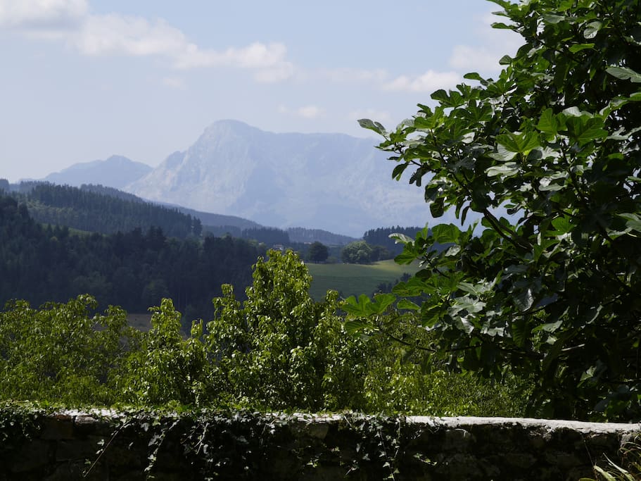 Vistas desde la casa