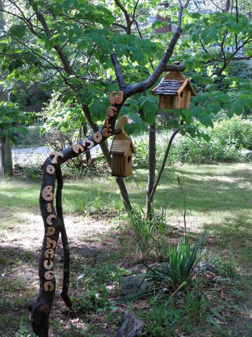 Welcome to Birdhaven
