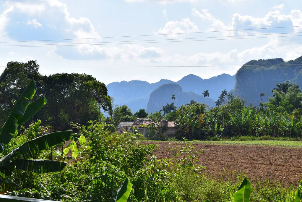 Vistas