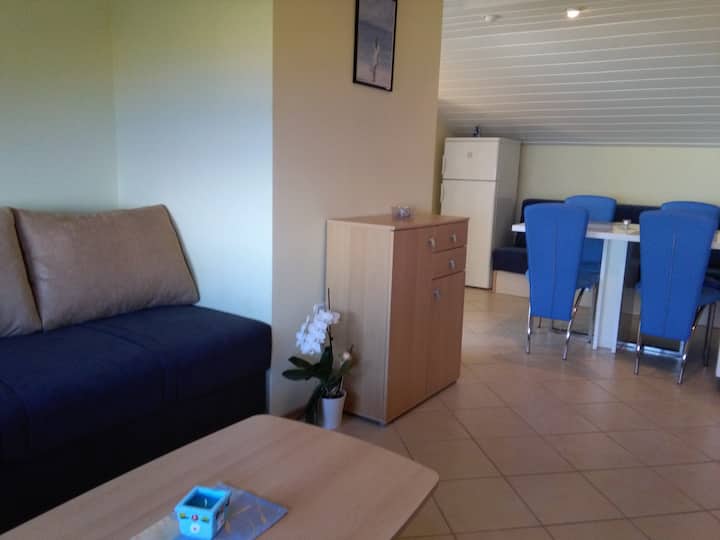 sala de estar y comedor