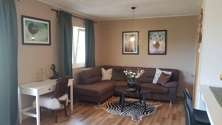 Sala de estar y escritorio . Elegimos los toques decorativos en un rato y es un poco de detalle para nosotros, y tiene su propia historia