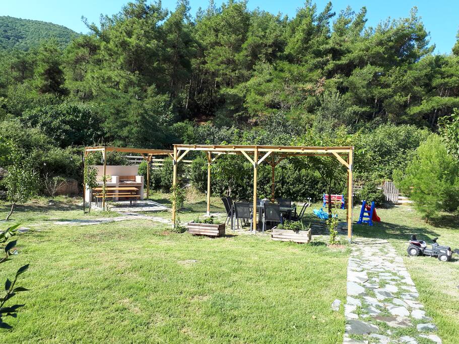 Our garden