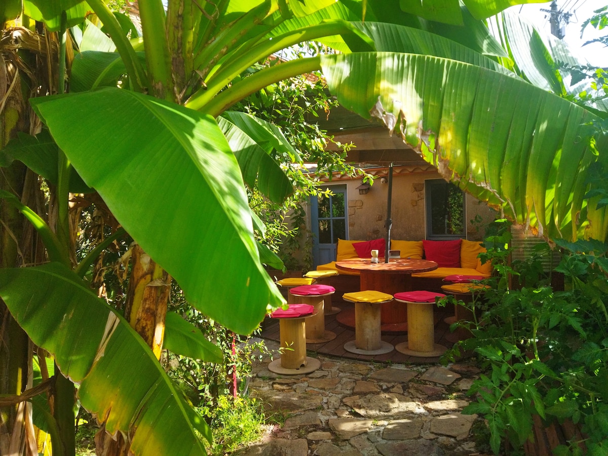 A vibrant outdoor dining area is surrounded by lush greenery, featuring a large circular table with colorful seating in shades of yellow and pink. The setting includes stone flooring and is enhanced by the presence of tall banana plants, creating a relaxed atmosphere.