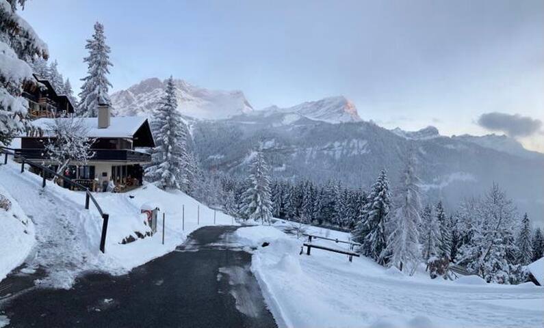 Chalet Apt Villars-Gryon, 2BdR, 2min from ski lift gallery image 3