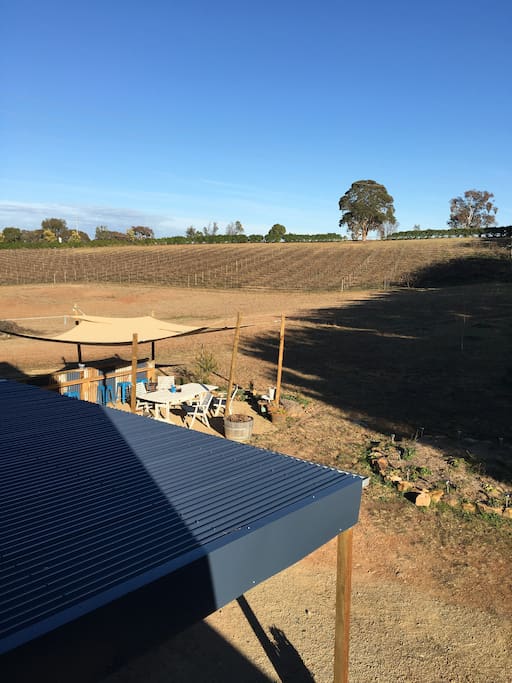 View to vineyard from guests deck.