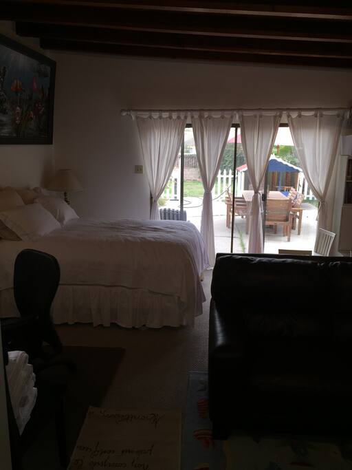 Spacious private bedroom with a queen bed, desk, small work table, large leather couch TV, internet, private full bath