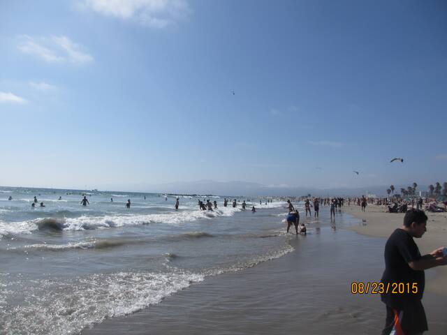 1908 Craftsman’s in Venice gallery image 3