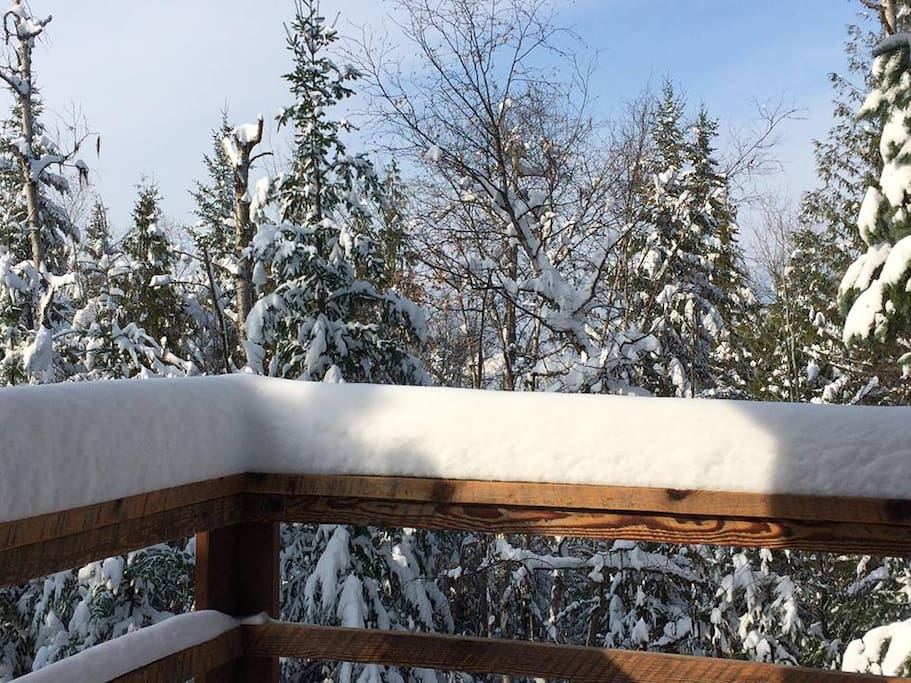 Winter lookout