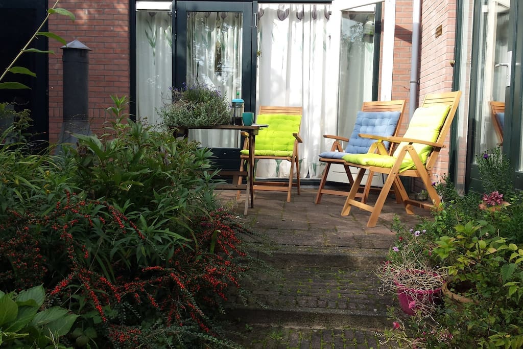 Terrace on the backyard + your room on the right hand side