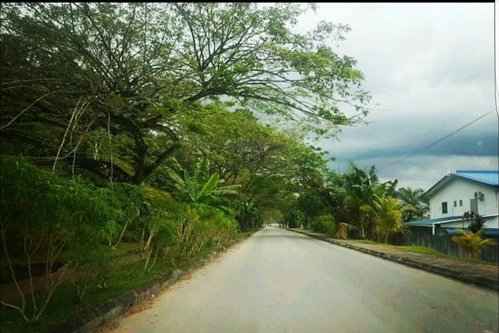 the greenery along the way to de'dango