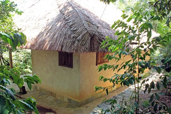 Finca la Pagua Cabin de Barro