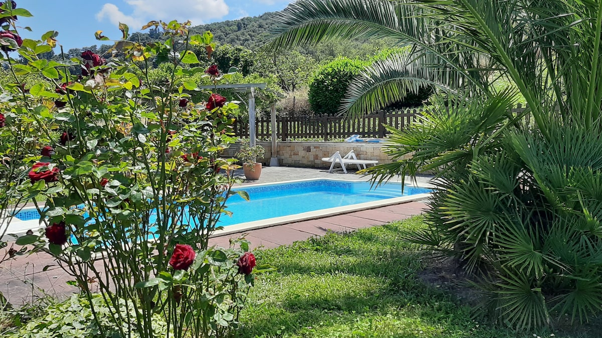 A swimming pool is framed by lush greenery and vibrant rose bushes. Sun loungers are positioned near the water, providing space for relaxation. Fencing and other trees are visible in the background, set against a hillside with scattered vegetation.