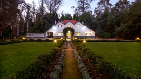 Gravityville-Heritage,Quirky and Gorgeous Hideout