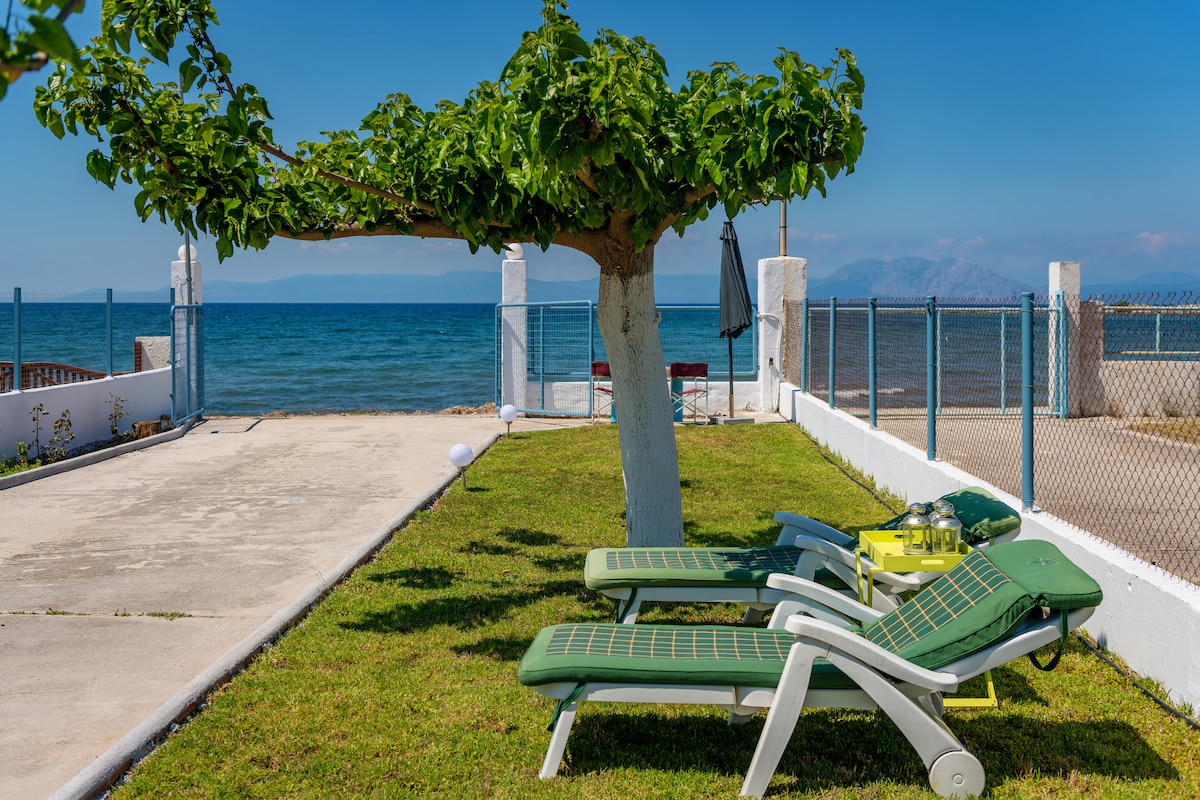 Two green lounge chairs are positioned under a leafy tree, with a view of the coastline and sea in the background. A small table with refreshments is nearby, and a fence outlines the grassy area, providing a serene outdoor space.