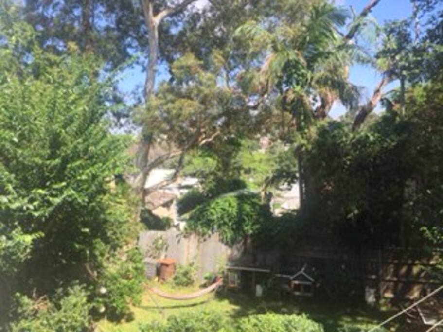 Huge garden
