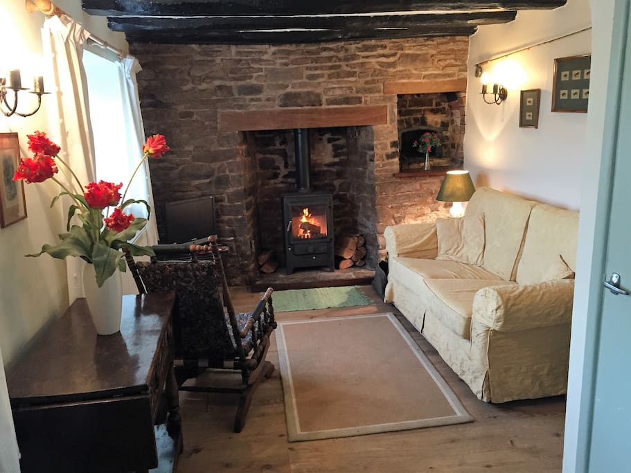 Cosy wood burning stove
